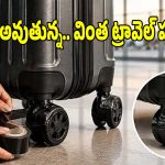 ఎయిర్ పోర్టుకు వెళ్లే ముందు సూట్‌కేస్ చక్రాలకు టేప్..ఈ వింత పని వెనక అసలు రహస్యం ఇదే!