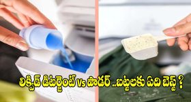 లిక్విడ్ లేదా పౌడర్ డిటర్జెంట్..మీ బట్టలకు ఏది బెస్ట్? నిపుణుల సలహా!