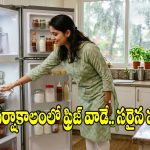 వర్షాకాలంలో ఫ్రిజ్ టెంపరేచర్ ఎంత ఉండాలి ? కరెంట్ ఆదా చేసే టిప్స్!