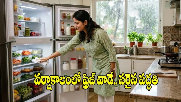 వర్షాకాలంలో ఫ్రిజ్ టెంపరేచర్ ఎంత ఉండాలి ? కరెంట్ ఆదా చేసే టిప్స్!