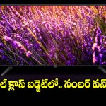 మధ్యతరగతి కుటుంబాలకు పర్ఫెక్ట్ టీవీ.. ఫీచర్లు చూస్తే ఫిదా అవుతారు!
