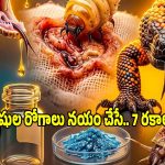 వీటిని చూస్తే.. ఒళ్లు కంపరిస్తుంది, కానీ ఇవే మన ప్రాణాలు రక్షిస్తున్నాయని తెలుసా?..