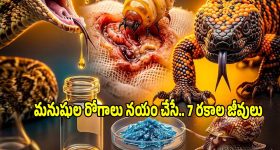 ఆన్‌లైన్‌లో అప్లై చేసినా ఆఫీసుకు వెళ్లాల్సిందేనా? RTOలో అసలేం జరుగుతోంది!