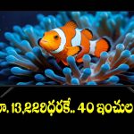 రూ.13,229 ధరకే..40 ఇంచుల టీవీ! ఆఫర్ మామూలుగా లేదు కదా !