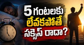 ఉదయం 5 గంటలకు లేస్తే నిజంగానే లైఫ్ మారుతుందా?