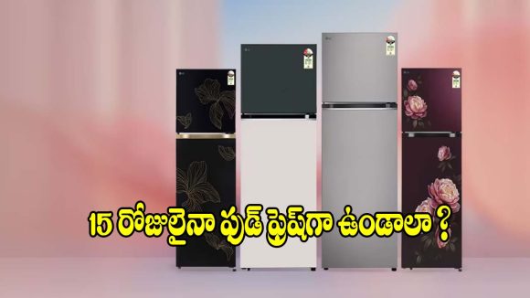 ఇలాంటి ఫ్రిజ్ ఇంట్లో ఉంటే..15 రోజులైనా ఫ్రెష్ ఫుడ్