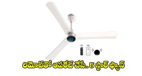 పాకిస్తాన్ వెధ‌వ‌లు..ఇంగ్లాండ్ ను హాలీడే ట్రిప్ గా ట్రీట్ చేస్తున్నారు