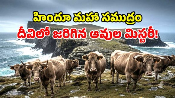 1871లో మనుషుల్లేని ద్వీపంలోకి 5 ఆవులు.. 137 ఏళ్ల తర్వాత అక్కడ ఉన్నది చూసి.. శాస్త్రవేత్తలే షాక్!