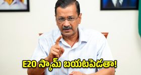 E20 పెట్రోల్‌కు వ్యతిరేకంగా కేజ్రీవాల్ నిరసన.. ప్రధాని నివాసానికి పాదయాత్ర!