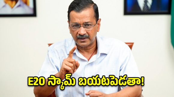 E20 పెట్రోల్‌కు వ్యతిరేకంగా కేజ్రీవాల్ నిరసన.. ప్రధాని నివాసానికి పాదయాత్ర!