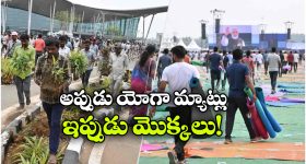 Telugu Serials :  సీరియల్స్ వీక్లీ రౌండప్.. టాక్ ఆఫ్ ది సీరియల్ ఇదే..?