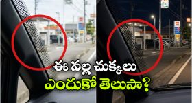 విండ్‌షీల్డ్‌ సైడ్ లో నల్ల చుక్కలు.. వామ్మో.. వీటితో ఇన్ని లాభాలున్నాయా?