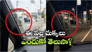 విండ్‌షీల్డ్‌ సైడ్ లో నల్ల చుక్కలు.. వామ్మో.. వీటితో ఇన్ని లాభాలున్నాయా?