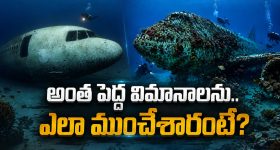 జ్వరం.. భుజంలో వాపు.. పవన్ కళ్యాణ్ ఆరోగ్యంపై బిగ్ అప్‌డేట్