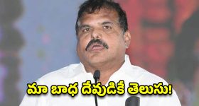 దేవుడా.. వీళ్లా మాకు నాయకులు? కూటమి వైఖరిపై సభలోనే బొత్స ఆవేదన!