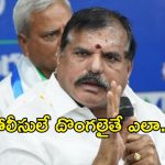 స్థానిక ఎన్నికల్లో భయపడేదే లేదు.. అన్ని స్థానాల్లో పోటీ చేస్తాం: బొత్స