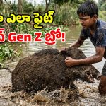 అడవి పందితో.. 14 ఏళ్ల బాలుడి విరోచిత పోరాటం.. 90 నిమిషాలు హోరాహోరీ ఫైట్!