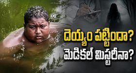 ప్రతి నెలా రూ.5000 పెట్టుబడి ప్లాన్ చేస్తున్నారా? FD లేదా SIP ఏది బెస్ట్
