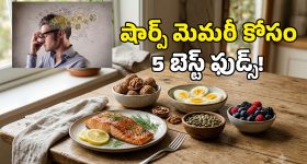 నా తండ్రి గుర్తింపు కోసం.. డీఎన్‌ఏ టెస్టు చేయించాలని యువకుడు ధర్నా!