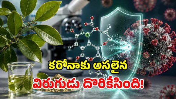కరోనాను ఖతం చేసే బ్రెజిల్ చెట్టు..  ఆకుల పవర్ చూసి సైంటిస్టులే షాక్!
