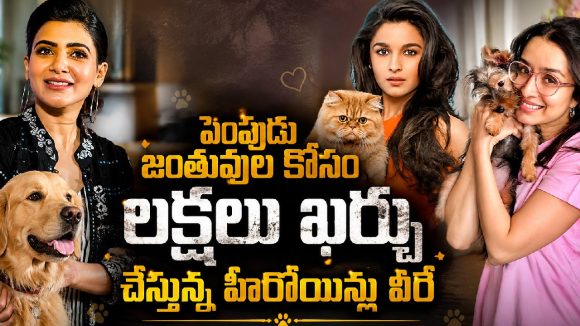 కుక్కల కోసం లక్షల్లో …ఈ హీరోయిన్స్ లవ్ మాములుగా లేదుగా !