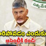 గుడి లాంటి అసెంబ్లీని బహిష్కరిస్తారా? చరిత్రలో ఎక్కడైనా ఉందా.. వైసీపీపై చంద్రబాబు ఫైర్!