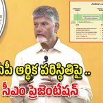 ఆర్థికశాఖపై శ్వేతపత్రం విడుదల చేసిన సీఎం చంద్రబాబు!