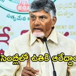 ఆధారాలు పట్టుకుని రండి.. డీఎస్సీపై చర్చకు మేము సిద్ధం.. వైసీపీకి చంద్రబాబు ఓపెన్ ఛాలెంజ్!