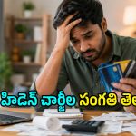 అయ్య బాబోయ్.. క్రెడిట్ కార్డులపై బ్యాంకులు వసూలు చేసే హిడెన్ చార్జీలు ఇవా?!