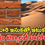 యూఏఈ సంచలనం.. ఎడారి ఇసుకతో ఇటుకలు.. 50% తగ్గనున్న కన్‌స్ట్రక్షన్ కాస్ట్!