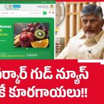 ఏపీ స‌ర్కార్ గుడ్ న్యూస్‌.. ఈ యాప్‌తో సగం ధరకే ఇంటికి తాజా కూరగాయలు..!