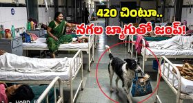మీరు కూడా మీ ఆఫీస్ బాస్‌ని తిట్టుకుంటూ ఉంటారా? దానివల్ల కలిగే ప్రభావం ఇదే