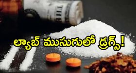 Intinti Ramayanam Today Episode: అక్షయ్ కు కడుపు మంట.. ఇంట్లోని వాళ్లకు అవని షాక్.. అవని ప్లాన్ ఫెయిల్..
