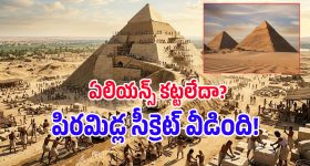కారు విండోకి తెల్లటి గుడ్డ.. ఇది దేనికి సంకేతం? ఒకవేళ కనిపిస్తే ఏం చేయాలి?