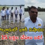 కొల్తూరు చెరువులో 15 లక్షల చేపలు మృతి.. ఫార్మా వ్యర్థాలే కారణమని మత్స్యకారుల ఆందోళన!