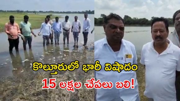 కొల్తూరు చెరువులో 15 లక్షల చేపలు మృతి.. ఫార్మా వ్యర్థాలే కారణమని మత్స్యకారుల ఆందోళన!