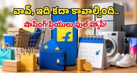 బాటా అస్సలు ఇండియన్ కంపెనీయే కాదు, దీని చరిత్ర తెలిస్తే వావ్ అంటారు!