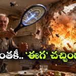 అచ్చం ‘ఈగ’ మూవీ లాగే.. ఈగను చంపేందుకు ఇల్లు తగలెట్టేసిన వృద్ధుడు!