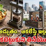 క్యాబేజీ, పండ్ల తొక్కలతో నివాసాలు.. ఉంటే నీడ, తింటే ఆహారం.. ఇదెక్కడి టెక్నాలజీ సామీ!