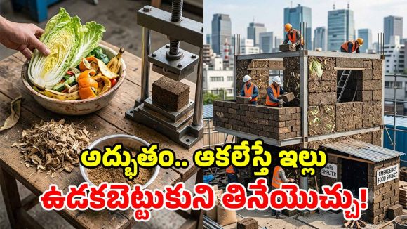క్యాబేజీ, పండ్ల తొక్కలతో నివాసాలు.. ఉంటే నీడ, తింటే ఆహారం.. ఇదెక్కడి టెక్నాలజీ సామీ!