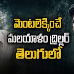 అడవిలో ఫ్రెండ్స్‌తో పార్టీ… చివరికి ఒకరినొకరు చంపుకునే పరిస్థితి… క్లైమాక్స్ ట్విస్ట్ కేక