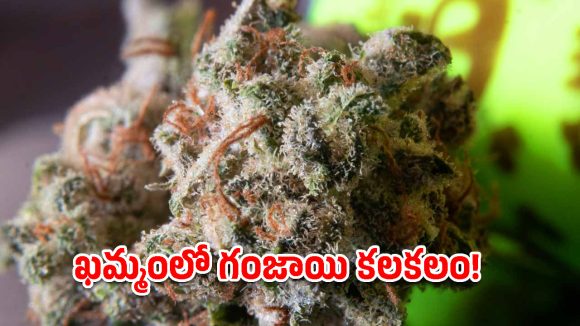 ఖమ్మంలో పోలీసుల మెరుపు దాడి.. 324 కిలోల గంజాయి సీజ్!