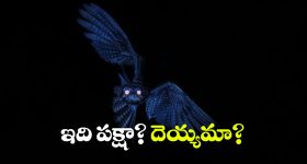 స‌ర్కార్‌కు ఆ మూడు ఆయువు ప‌ట్టు.. అడ్మినిస్ట్రేష‌న్‌పై ఏదీ ప‌ట్టు..? ఆర్థిక ప‌రిపుష్టిపై ఏదీ ముద్ర‌..?