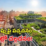 ఇంటి పైకప్పుపై గార్డెన్.. ఇక లైఫ్‌లో ఏసీలు, కూలర్లు అక్కర్లే.. బోలెడన్ని బెనిఫిట్స్!