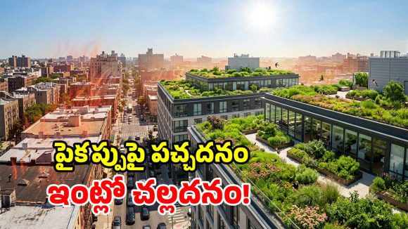 ఇంటి పైకప్పుపై గార్డెన్.. ఇక లైఫ్‌లో ఏసీలు, కూలర్లు అక్కర్లే.. బోలెడన్ని బెనిఫిట్స్!