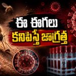 చిన్నారుల ప్రాణాలు తీస్తున్న ‘చండీపూర’ వైరస్, ఇప్పటికే 25 మంది..