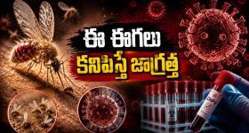 ఒకే ఫార్ములా.. ఇద్దరు నేతలు.. ఒకరిది జైలు, ఇంకొకరిది సెటిల్‌మెంట్!