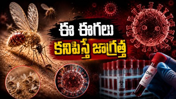 చిన్నారుల ప్రాణాలు తీస్తున్న ‘చండీపూర’ వైరస్, ఇప్పటికే 25 మంది..