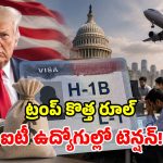 భారత ఐటీ ఉద్యోగులకు ట్రంప్ బిగ్ షాక్.. వీసా పొడిగింపు పైనా ‘బాదుడే బాదుడు’!