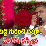 నా ప్రాణాలు కాపాడిన నాయకుడు ఇకలేరు..పెద్ది సంతాప సభలో హరీష్ రావు కన్నీళ్లు